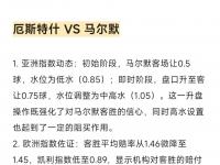杏彩体育-厄斯特什实力有限，马尔默抢分无忧？厄斯